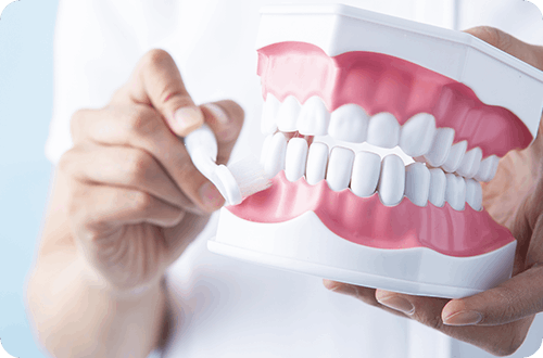 虫歯・歯周病は予防できる病気です